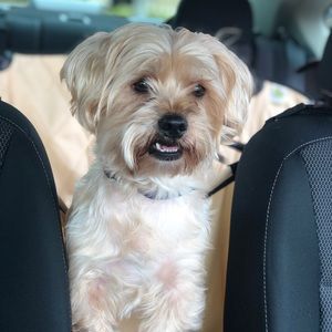 Meet your Posher, Marialuisa